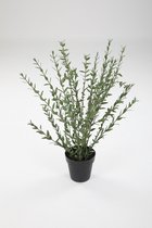 Kunstbloem - set van 2  - Eucalyptus - decoratieve tak -  69 cm - groen