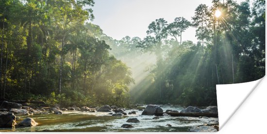 Poster De zon schijnt op een rivier in een Maleisisch bos