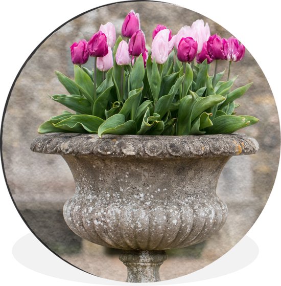 WallCircle - Wandcirkel - Muurcirkel - Een stenen plantenbak met roze tulpen - Aluminium - Dibond - ⌀ 60 cm - Binnen en Buiten