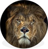 WallCircle - Wandcirkel - Muurcirkel - Zwart - Leeuw - Wilde dieren - Aluminium - Dibond - ⌀ 140 cm - Binnen en Buiten