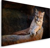 Schilderij - Poema in zijn natuurlijke omgeving, Premium print