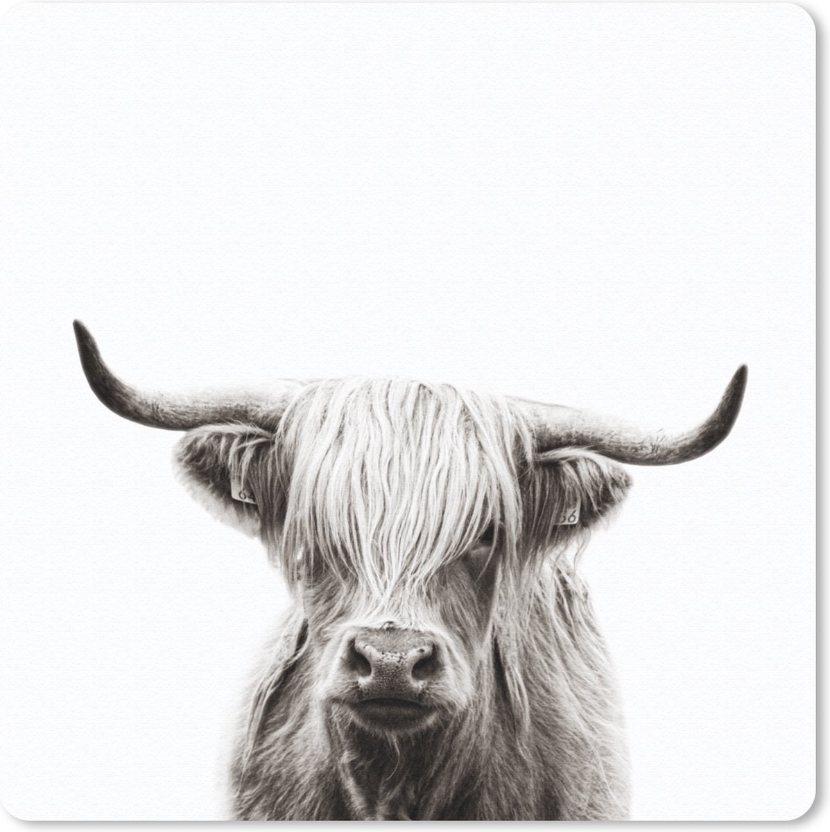 Muismat 30x30 cm - Mousepad Portret Schotse Hooglander - Schotse koe - Zwart Wit - Muismatten