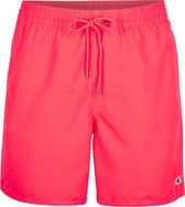 O'Neill Sportzwembroek Vert Swim Shorts - Divan - L