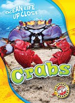Ocean Life Up Close - Crabs