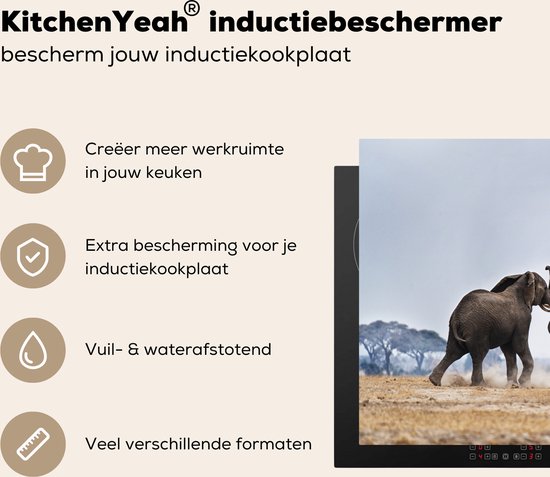 KitchenYeah® Inductie beschermer 65x52 cm - Olifant - Dieren - Vlakte - Natuur - Kookplaataccessoires - Afdekplaat voor kookplaat - Inductiebeschermer - Inductiemat - Inductieplaat mat