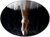 Dibond Ovaal - Ballerina - Balet - Schoenen - Dansen - 40x30 cm Foto op Ovaal (Met Ophangsysteem)
