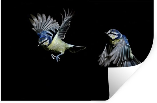 Muursticker Animaux sur fond noir - Moucherolles sur fond noir - 120x80 cm - film adhésif autocollant - sticker mural repositionnable