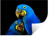 Stickers muraux - Perroquet - Vogel - Ressorts - Blauw - 80x60 cm - Feuille adhésive