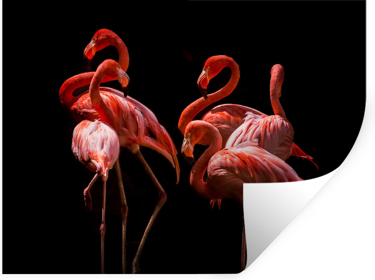 Muurstickers - Sticker Folie - Flamingo's - Vogels - Veren - Zwart - 80x60 cm - Plakfolie 