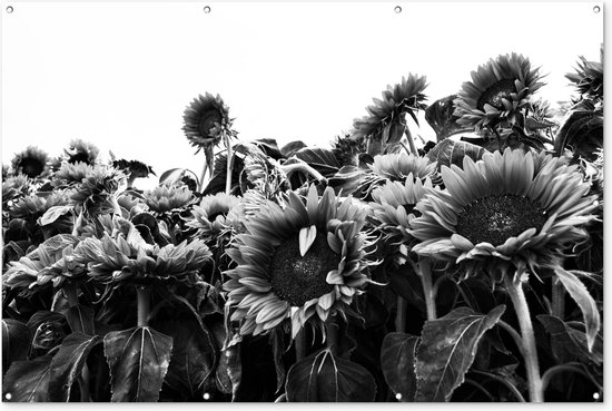Zonnebloemen in Nederland zwart-wit - Tuinposter - Tuindoek