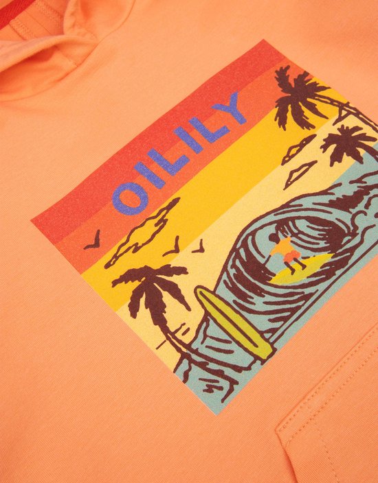 Harold hoody 15 Solid with artwork Wave Orange: 110/5yr