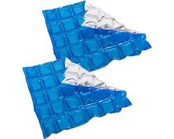 Herbruikbare flexibele koelelementen - 2x - icepack/ijsklontjes - 28 x 25 cm - blauw