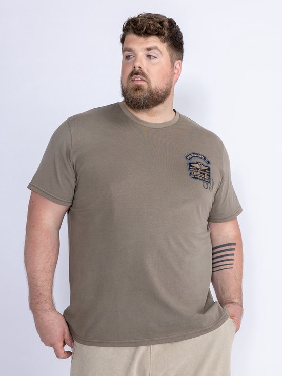 Petrol Industries - T-shirt Artwork Plus taille pour homme Palmlife - Marron - Taille 6XL