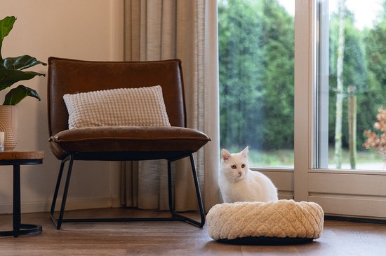 Witte kat zit in een ronde, beige kattenmand met een ruitpatroon naast een bruine stoel.