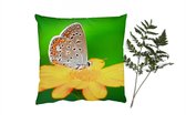 Sierkussens - Kussentjes Woonkamer - 40x40 cm - Bloemen - Vlinder - Natuur