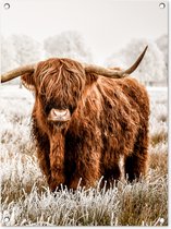 Tuinschilderij Schotse hooglander - Koe - Natuur - Winter - 60x80 cm - Tuinposter - Tuindoek - Buitenposter