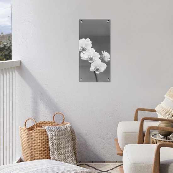 Poster de jardin Orchidée - Fleurs - Plante - Wit - Violet - 30x60 cm - Toile jardin - Poster extérieur