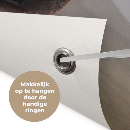 Affiche de jardin Dino - Animaux sauvages - Dessin - Enfants - Garçons - Enfants - 130x90 cm - Décoration murale Extérieur - Affiche de jardin - Toile de jardin - Affiche de clôture - Peinture de jardin