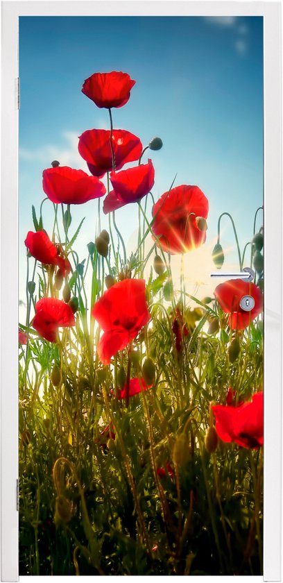 Sticker pour porte Coquelicots - Toscane - Soleil - Rouge - Blauw - 75x205 cm - Affiche de porte