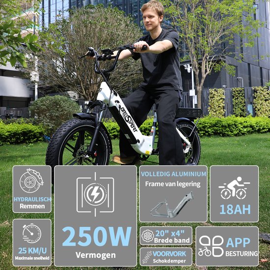 ONESPORT-Volledig terrein elektrische fatbike-20x4.0 inch offroad brede banden-voor en achter hydraulische schijfremmen-65Nm koppel-864Wh grote accu-90 km actieradius-aluminium frame-250W achtermotor-Bluetooth smart display-wit van ONESPORT — afbeelding 4
