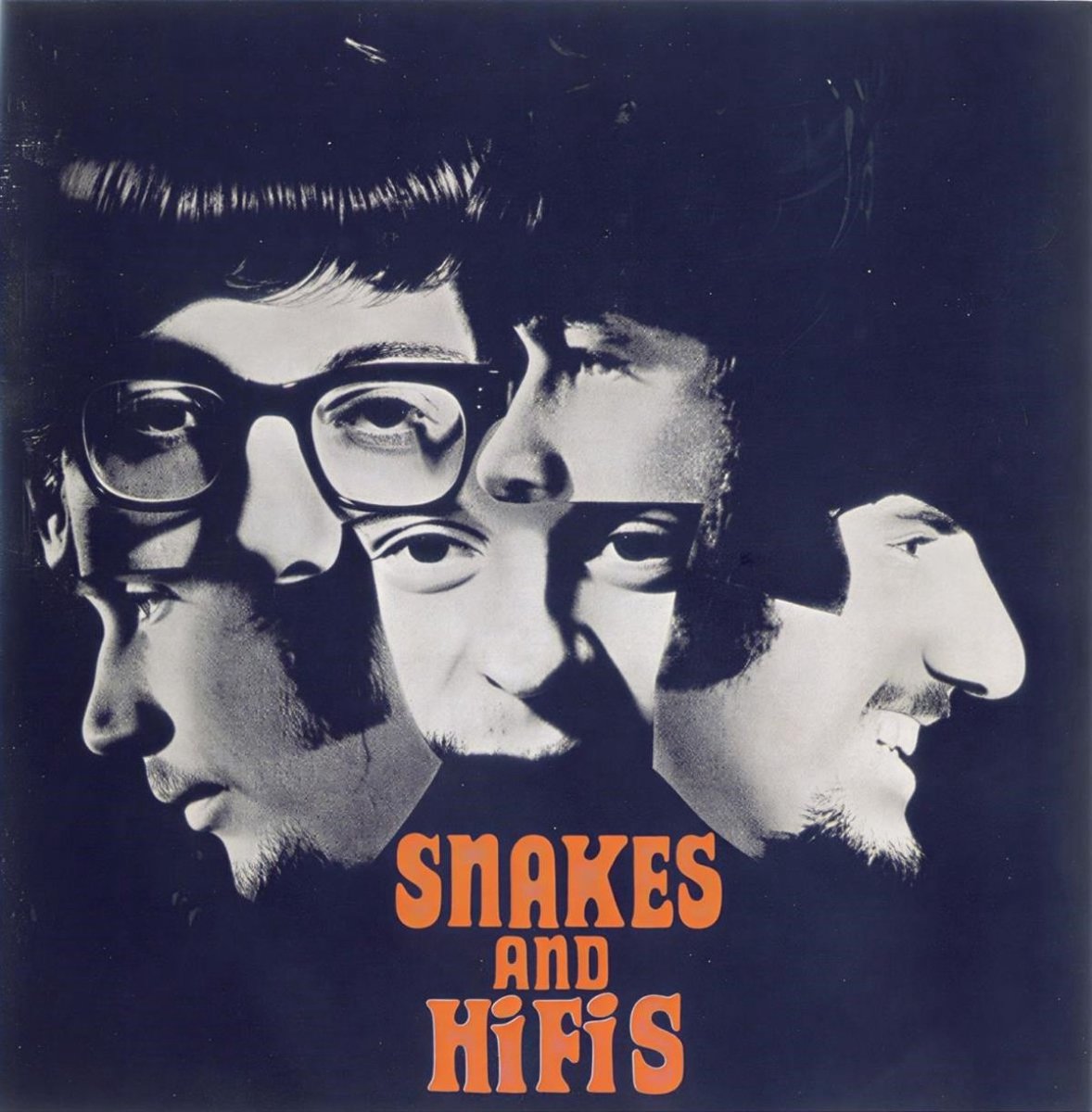 Snakes And Hi-fi's