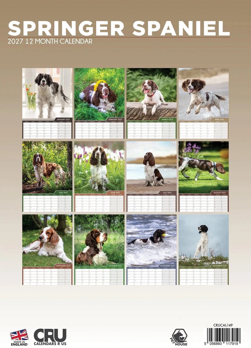 Welsh Springer Spaniel A3 Kalender 2027