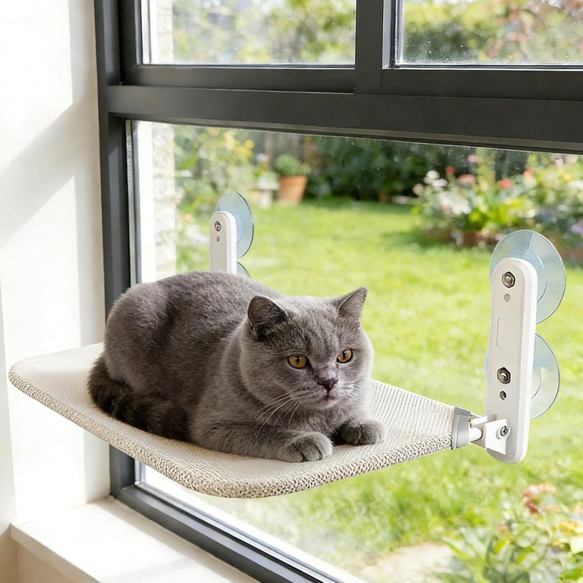 Hangende kattenhangmat met 4 sterke zuignappen, ademend netzitting voor comfortabel zonnen en ontspannen binnenkatten