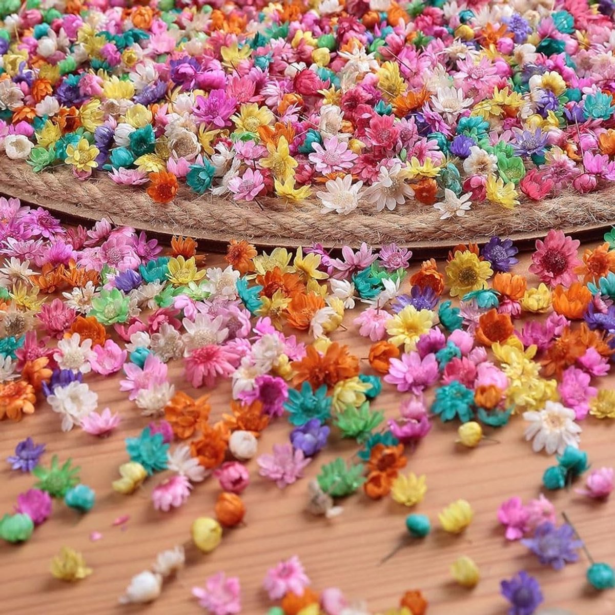 280 Stuks Gedroogde Bloemen voor Decoratie, Creatieve Knutselprojecten en Cadeauverpakking, Natuurlijke Bloemversiering in Diverse Kleuren