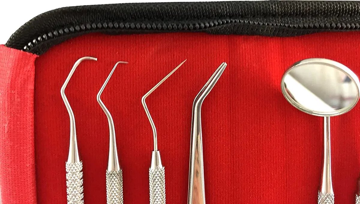 8-delige tandverzorgingsset inclusief plaqueverwijderaar, tandheelkundige instrumenten, gebitsreiniger, tandheelkundige sondes, roestvrijstalen constructie en een draagtas.
