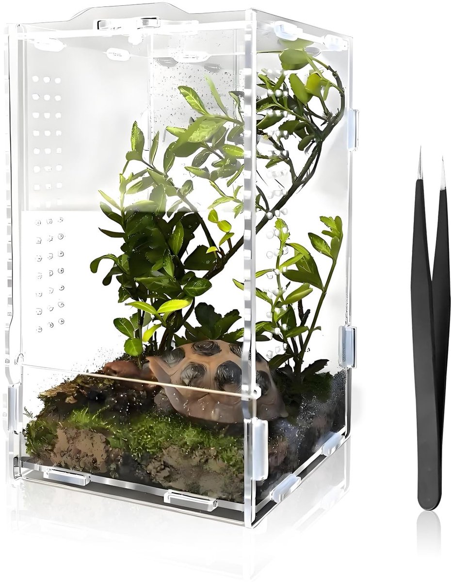 Elzusha - Multifunctionele Terrarium voor Insecten en Reptielen 20x12x11cm