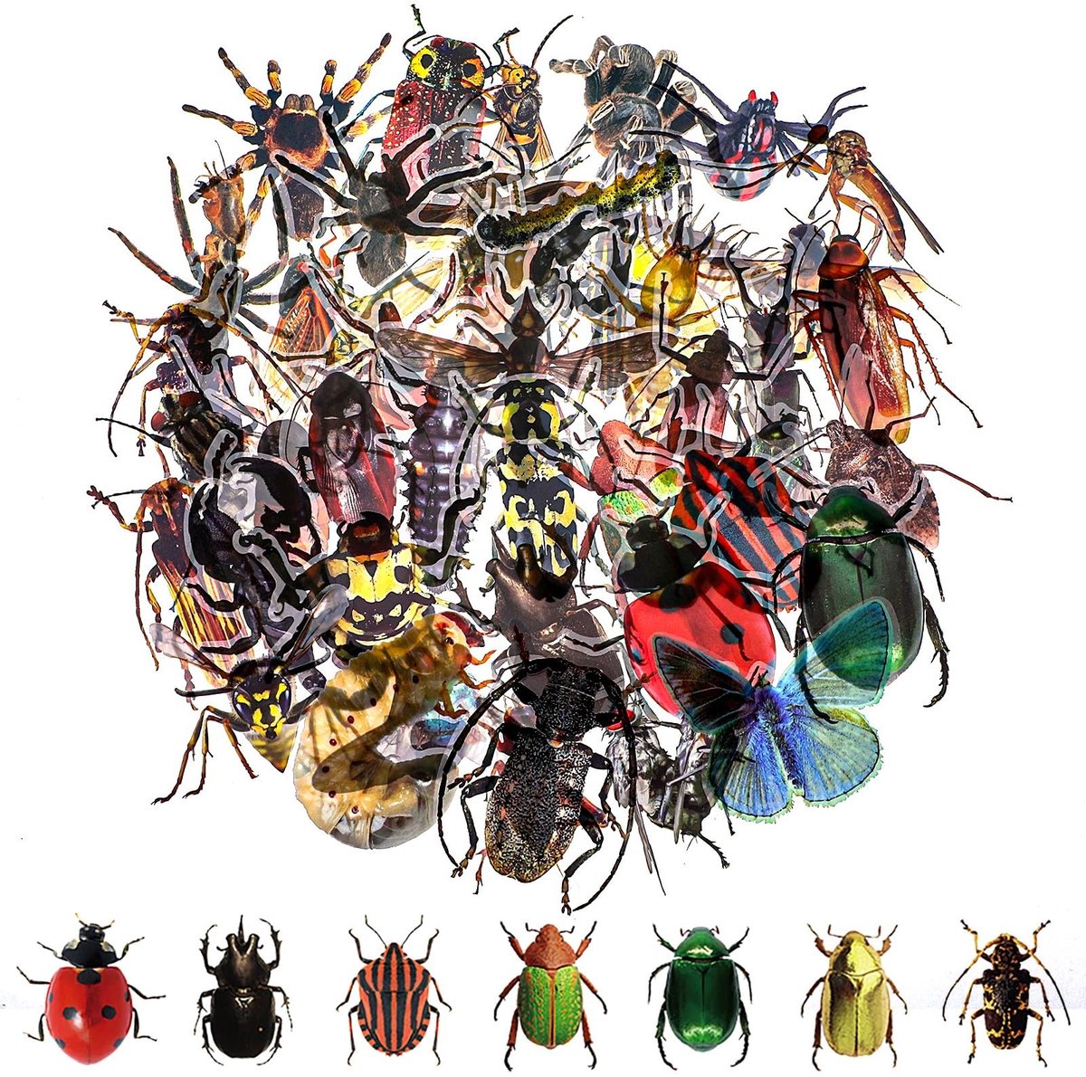 Elzusha- Insectenstickers 50 stuks - Waterdichte Stickers - Transparante Dierenstickers - Lente Thema - Hoogwaardig PET - Duurzaam en Kleurrijk