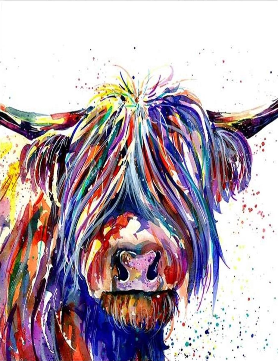 SolidKeus - Paint by Numbers Kit voor Volwassenen en Kinderen
