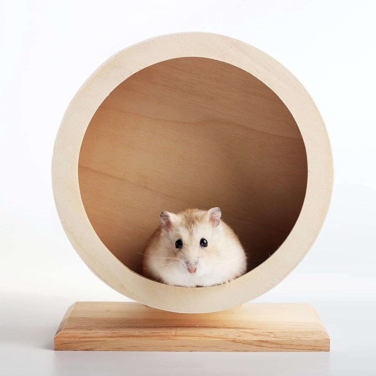 hamsterwiel, oefenwiel voor kleine huisdieren, stil lopend draaiwiel voor rust en oefening van Syrische hamsters, gerbils, ratten, muizen, dwergen, kleine chinchilla (S, Φ/15 cm)