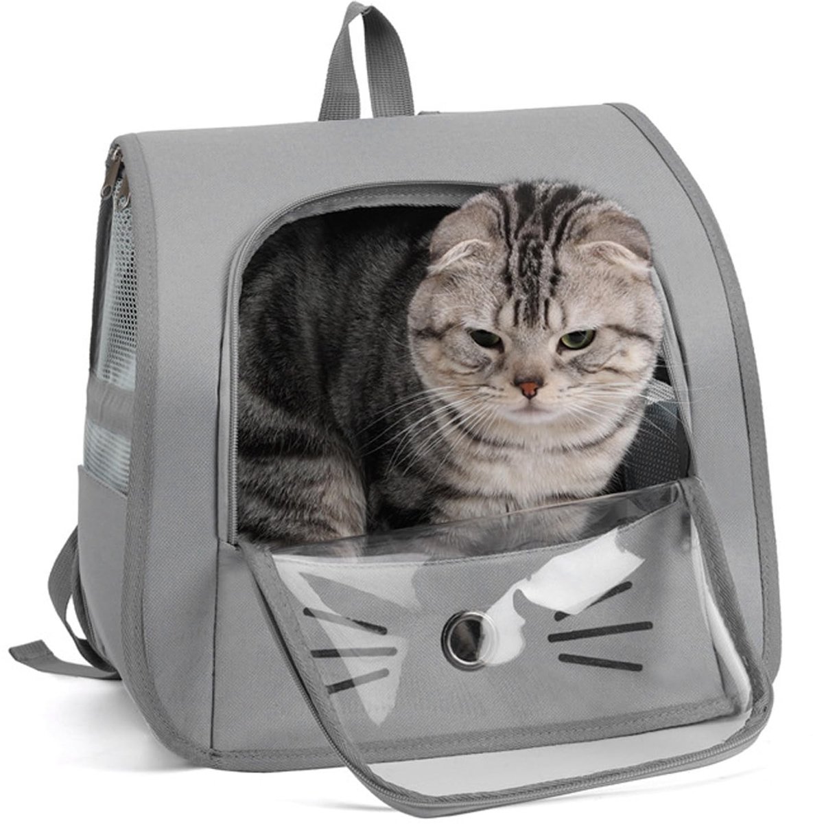 Dailygoody - Huisdierrugzak voor Kleine Honden en Katten - Draagbare