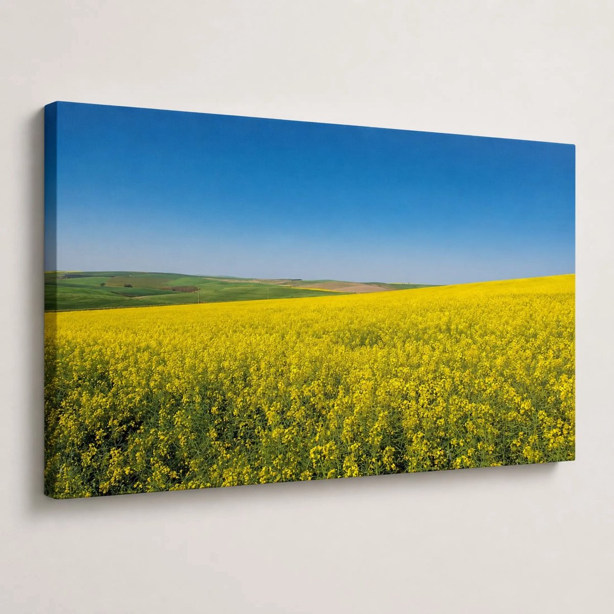 Canvas foto 40x60 cm - Wanddecoratie - Koolzaadveld - Muurdecoratie woonkamer - Slaapkamer decoratie - Kamer accessoires - Foto op canvas