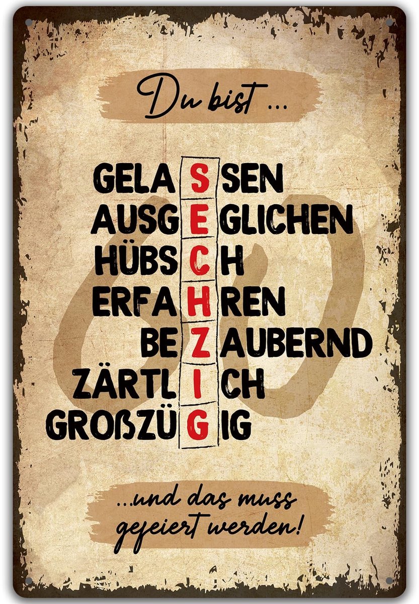 Dailygoods - Retro Metalen Bord voor 60e Verjaardag - Grappig Cadeau