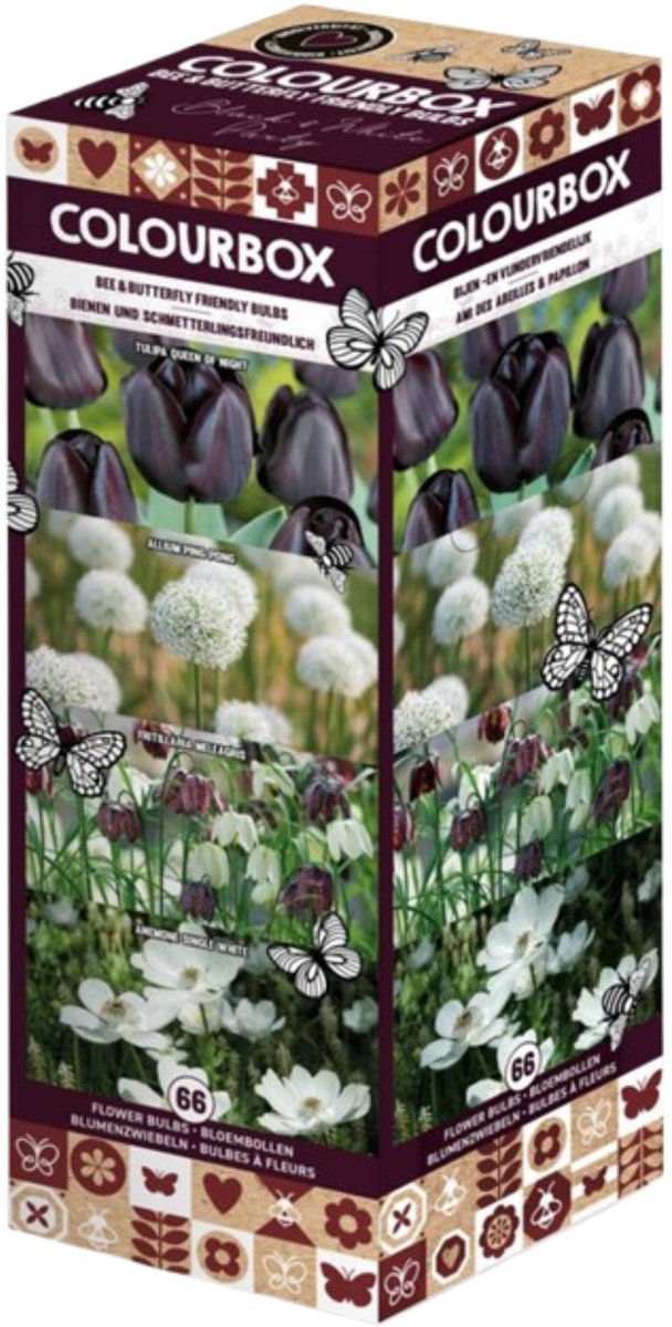 Colourbox Zwart en Wit – Bloembollen mix - Bijen-Vlinders - Snijbloemen - Voorjaarsbollen - bloeit in April / Mei / Juni