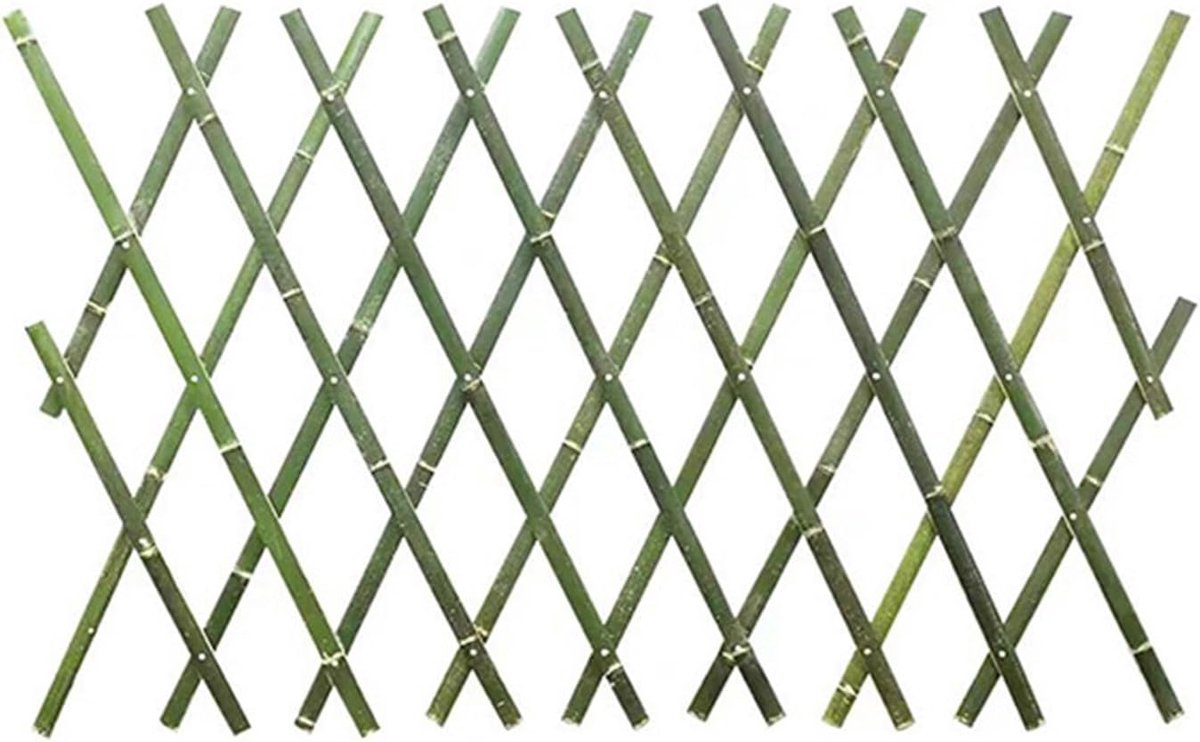 Uitbreidbaar Bamboe Hek - Tuin Scherm - Planten Ondersteunen - Flexibel Uitschuifbaar - 40x200CM - Natuurlijk Bamboe