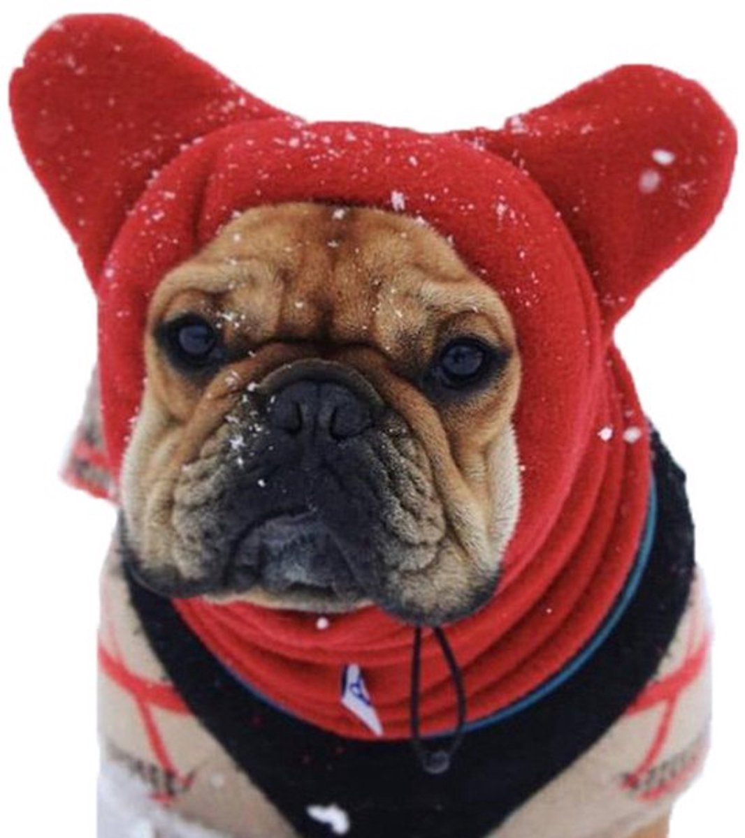 Honden casual warme rode hoed huisdier hoed hoofdbedekking huisdierbenodigdheden hoofdbedekking