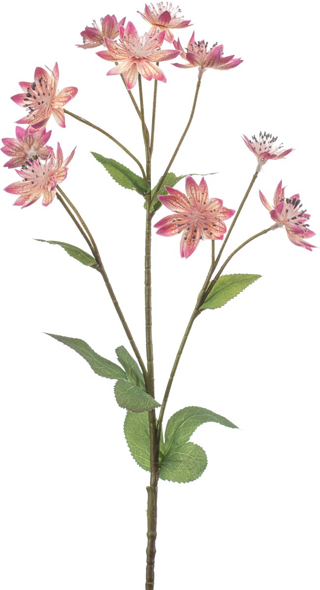 Emerald Kunstbloem Astrantia roze 70cm - Kunstplant voor binnen