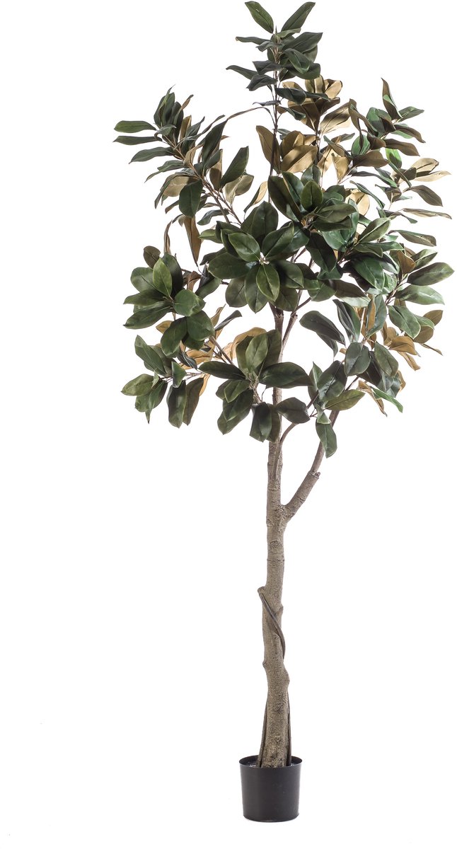 Emerald Kunstboom Magnolia Denudata 240cm - Kunstplant voor binnen - Magnolia plant - Magnolia boom Groen