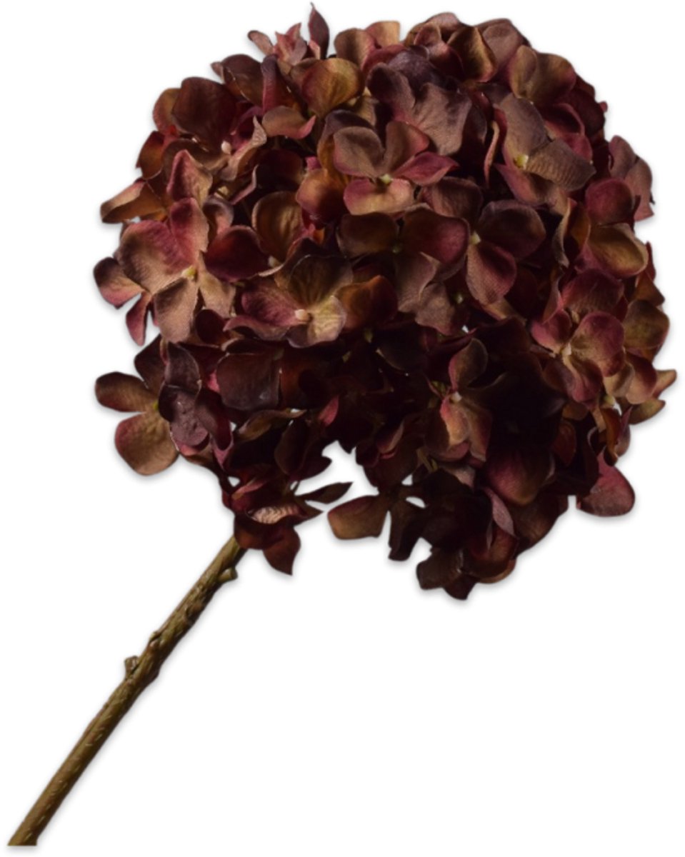 Silk-ka Kunstbloem-Zijden Bloem Hortensia Steel Rood-Bruin 70 cm