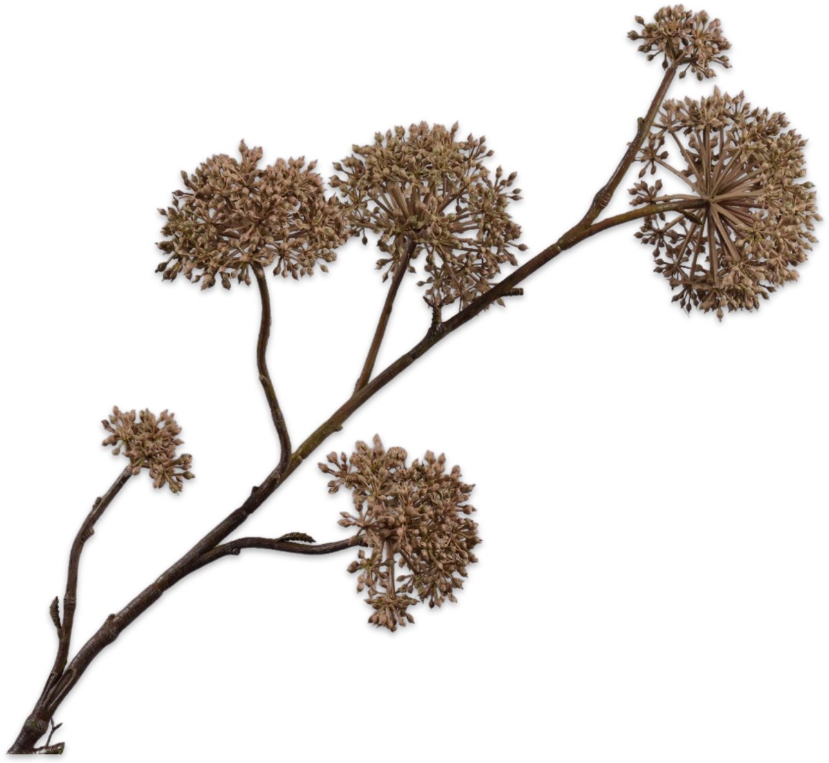 Silk-ka Kunstbloem-Zijden Bloem Dille Tak mauve 97 cm