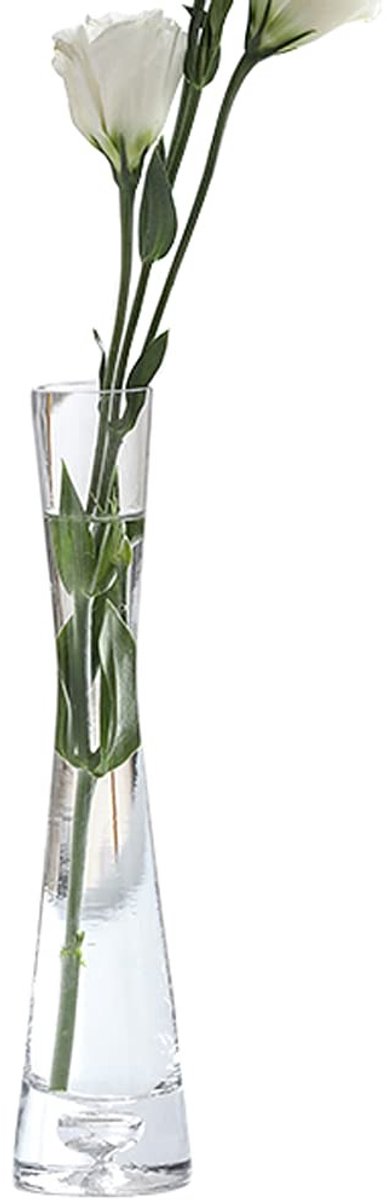 Dailygoods- Bloemvaas Handgemaakt - Kristalhelder Glas - Slank Ontwerp - Stabiele Basis - Decoratie voor Thuis/Kantoor - Afmetingen 5x20 cm - Vaas