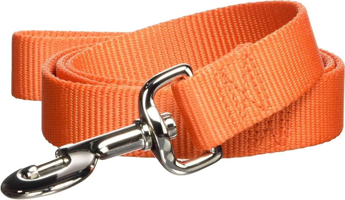 Hondenriem Nylon - Wandelriem - Hond Uitlaten - Draaibare Snaphaak - 6 Voet Lang - Oranje