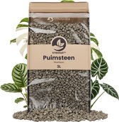 Sybotanica - Puimsteen 3L Fijn (4-8mm) - Bodemverbeteraar - Terrarium Decoratie