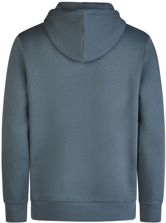 Achterkant van een effen blauwgrijze hoodie met capuchon.