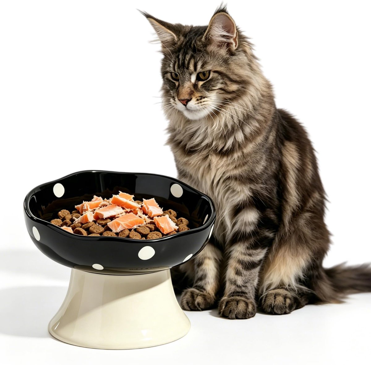 Keramische voerbak kat met standaard, paddenstoelvormig kattenbak, platte voerbak kat, 15° design, kattenbak voer, watervoerbak voor katten en kleine honden (zwart)
