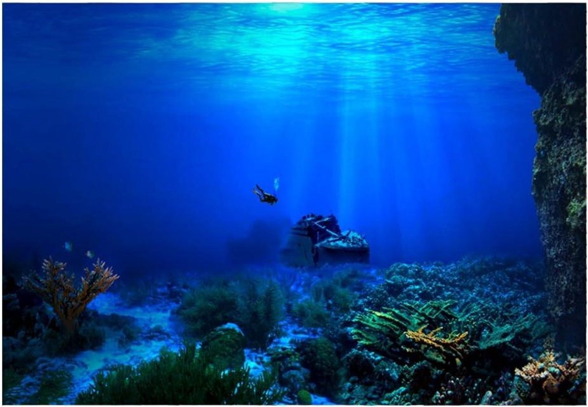 Aquarium Achtergrond Poster - Vis Tank Decoratie - Aquarium Verfraaien - 3D Effect - 91 x 50 cm - Zeewereld