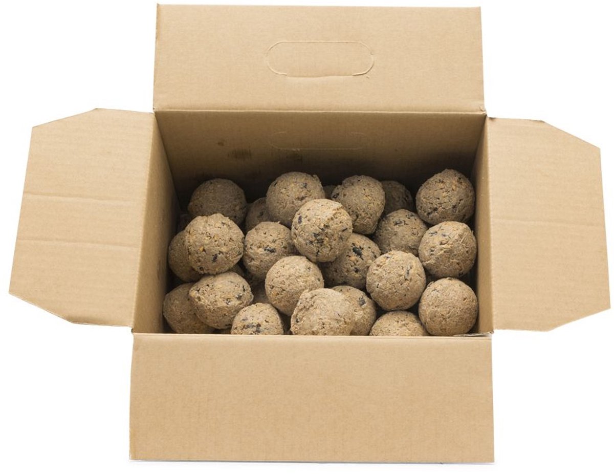 Gifts4Nature 50st Vetbollen voor Vogels - Mezenbollen zonder Net - 80 gram per bol - Vogelvoer Buitenvogels - Energierijk Tuinvogelvoer - Grootverpakking